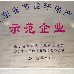 山東省節能環保產業示范企業